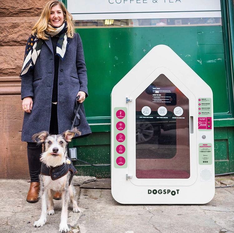 QFC-DogSpot partnership offers convenience for dog-owning customers in Seattle