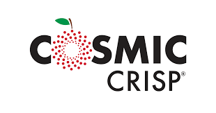 Cosmic Crisp Apple Recognized with Good Housekeeping Institute Healthy Snack Award