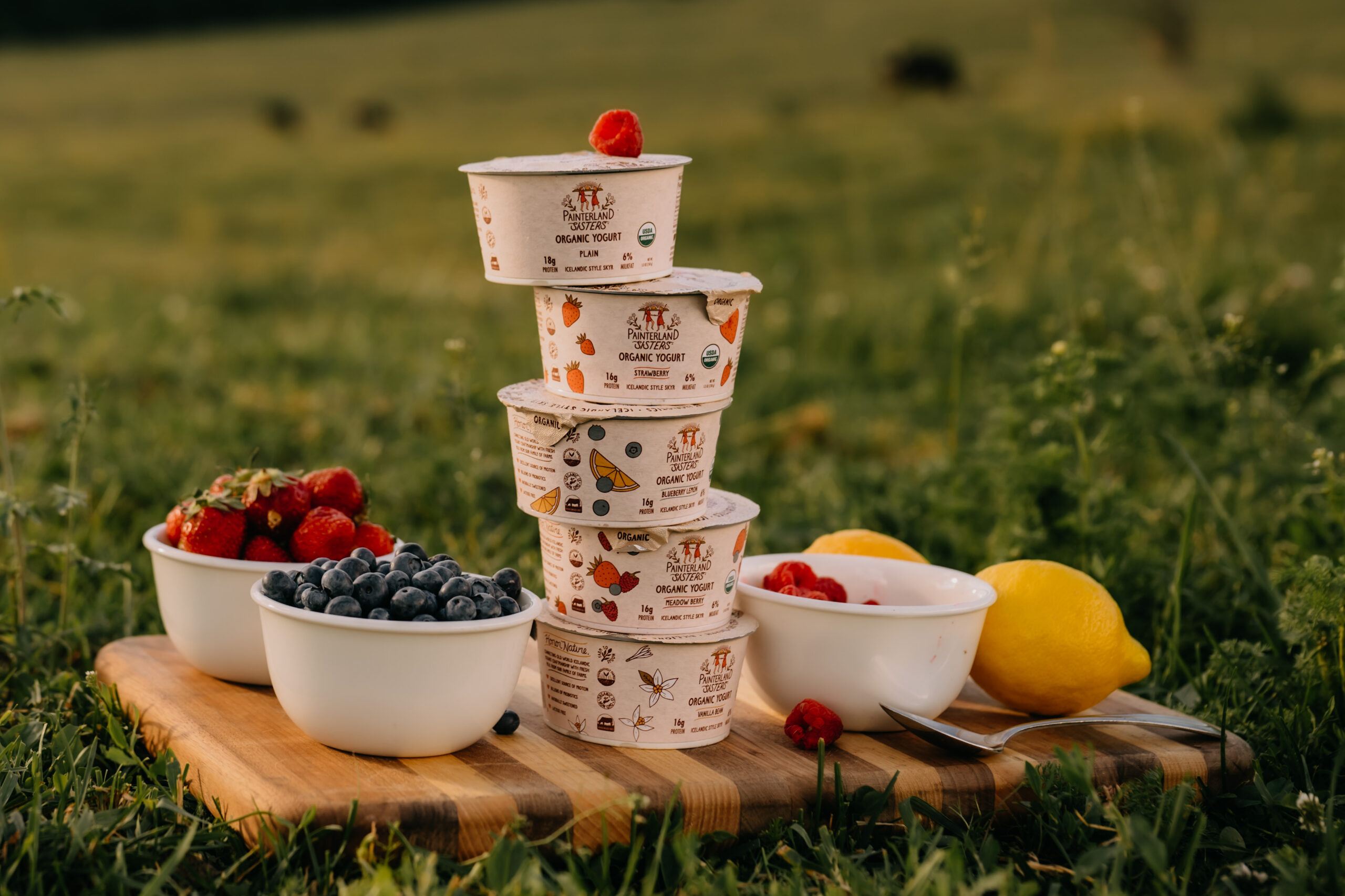 Introducing Painterland Sisters Organic Skyr Yogurt